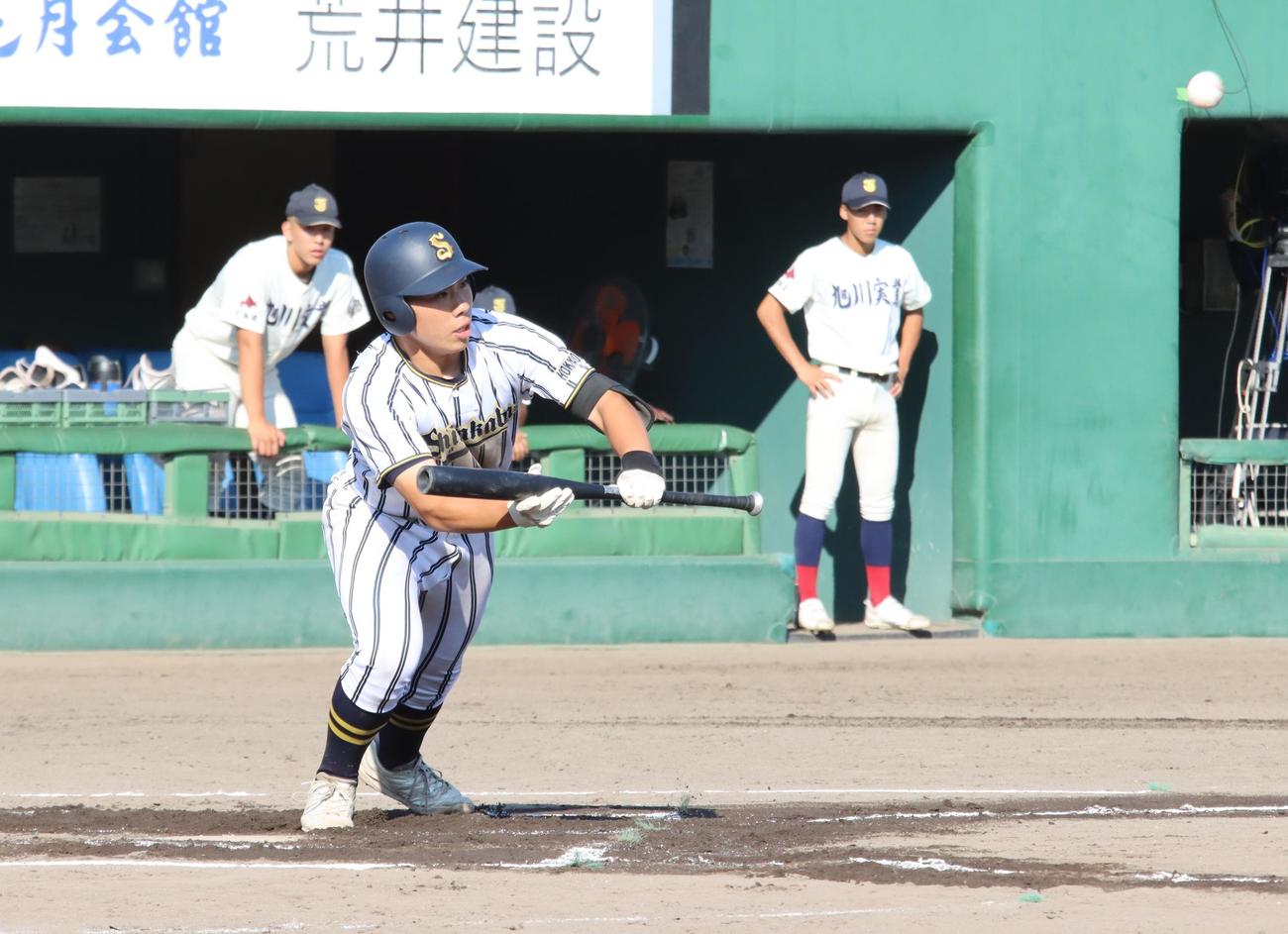6回表白樺学園1死一、三塁、先制スクイズを決める久保（撮影・保坂果那）