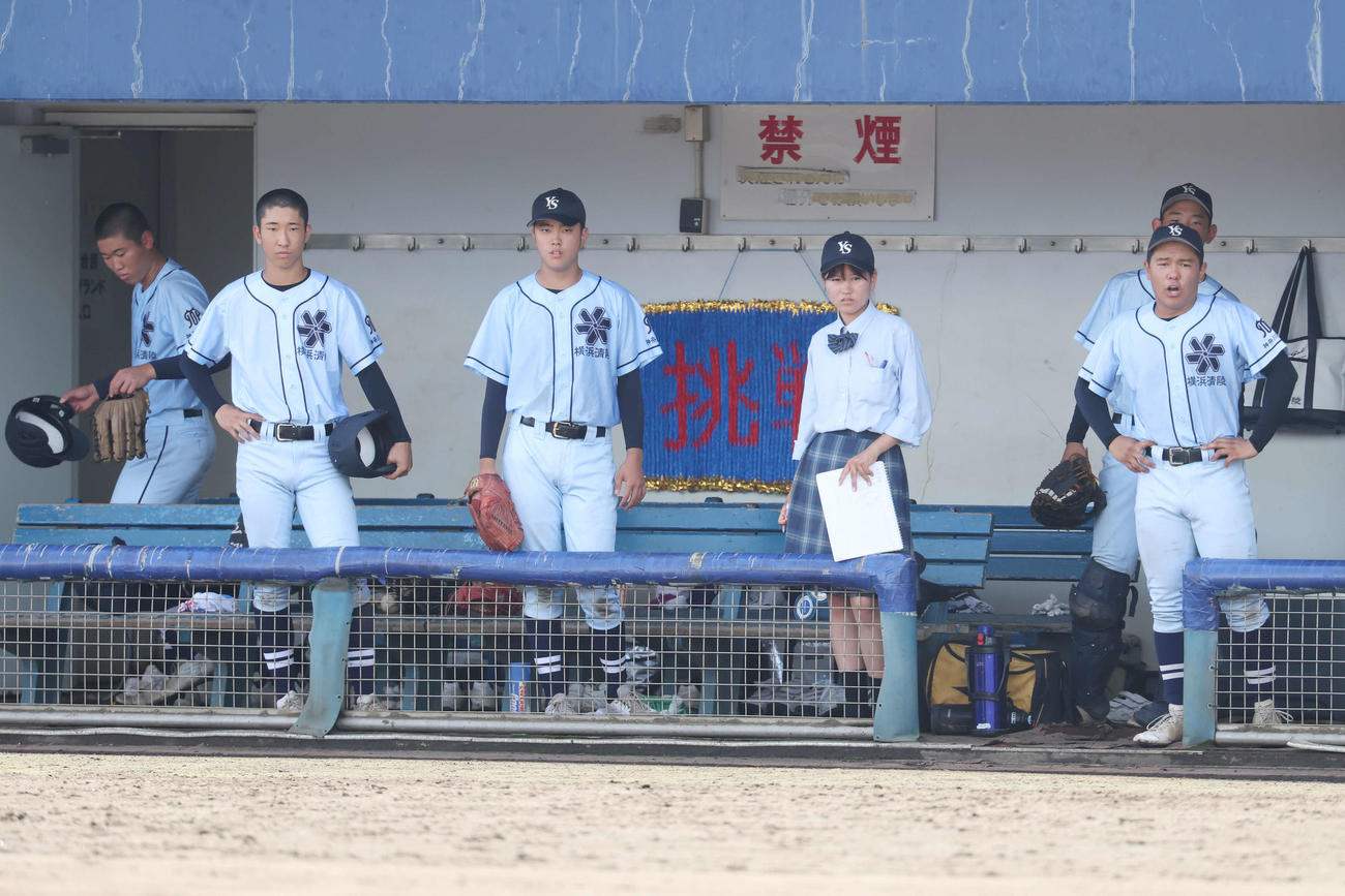 藤沢清流対横浜清陵　ベンチから戦況を見つめる横浜清陵の選手たち（撮影・宮地輝）