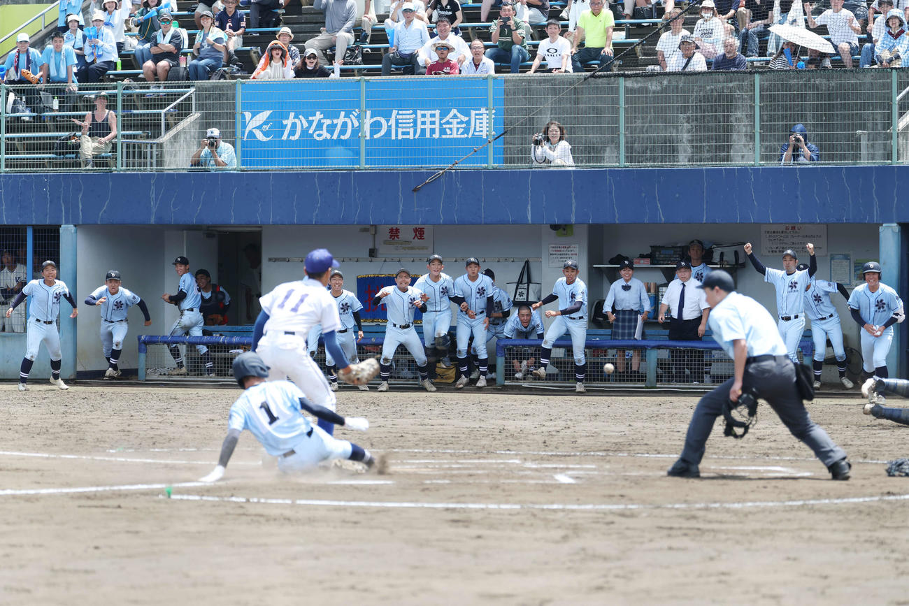 藤沢清流対横浜清陵　10回裏横浜清陵2死二、三塁、暴投の間に三塁走者小原が生還し喜ぶナイン（撮影・宮地輝）