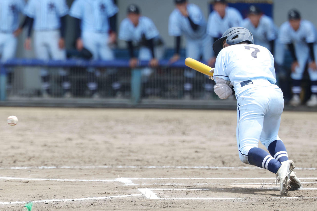 藤沢清流対横浜清陵　10回裏横浜清陵無死一、二塁、送りバントを決める山本（撮影・宮地輝）
