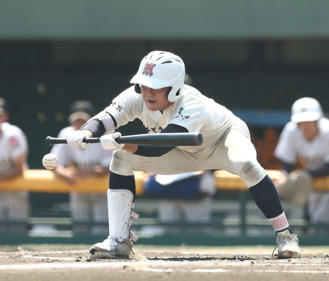 国士舘対日大鶴ケ丘　6回裏日大鶴ケ丘1死満塁、スクイズを決める住（撮影・河田真司）