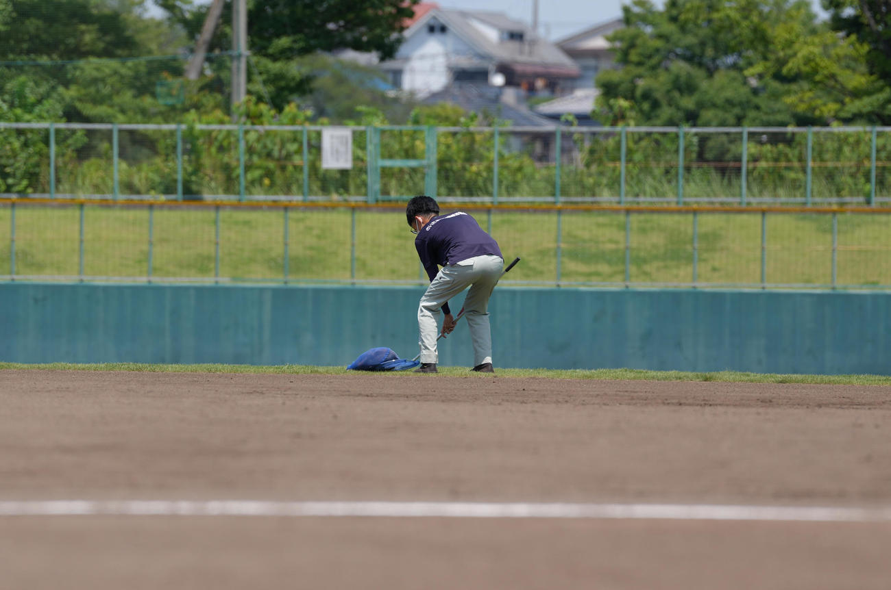 山村学園対西武台　グラウンドに侵入したハクビシンを捕獲する係員（撮影・足立雅史）