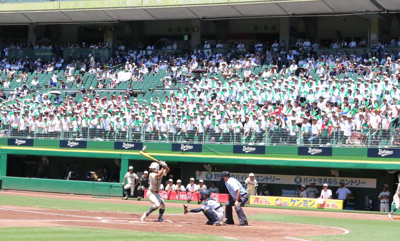 報徳学園対神港学園　報徳学園スタンドから大きな声援がおくられる（撮影・林亮佑）