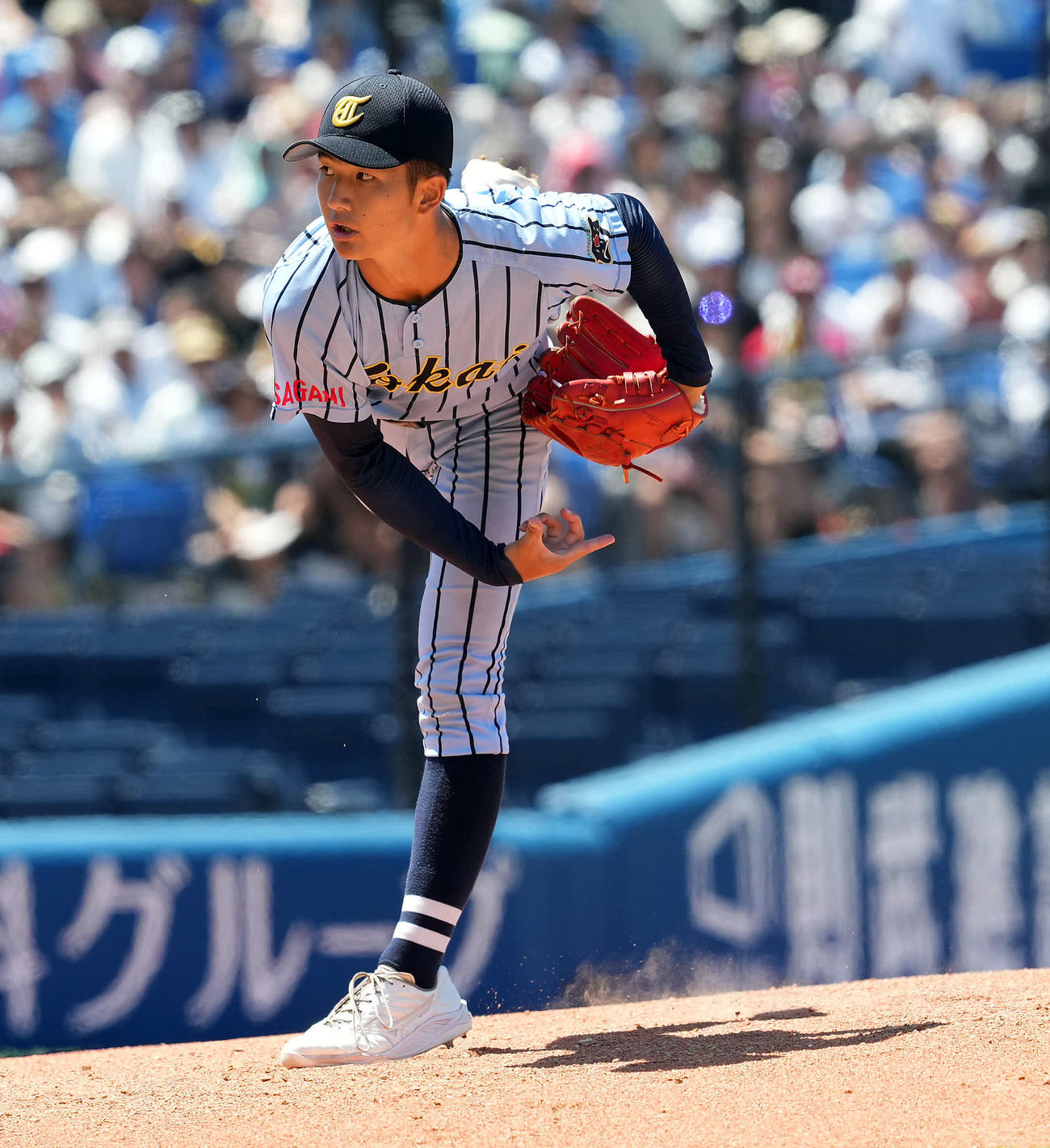 向上対東海大相模　東海大相模の先発萩原（撮影・たえ見朱実）