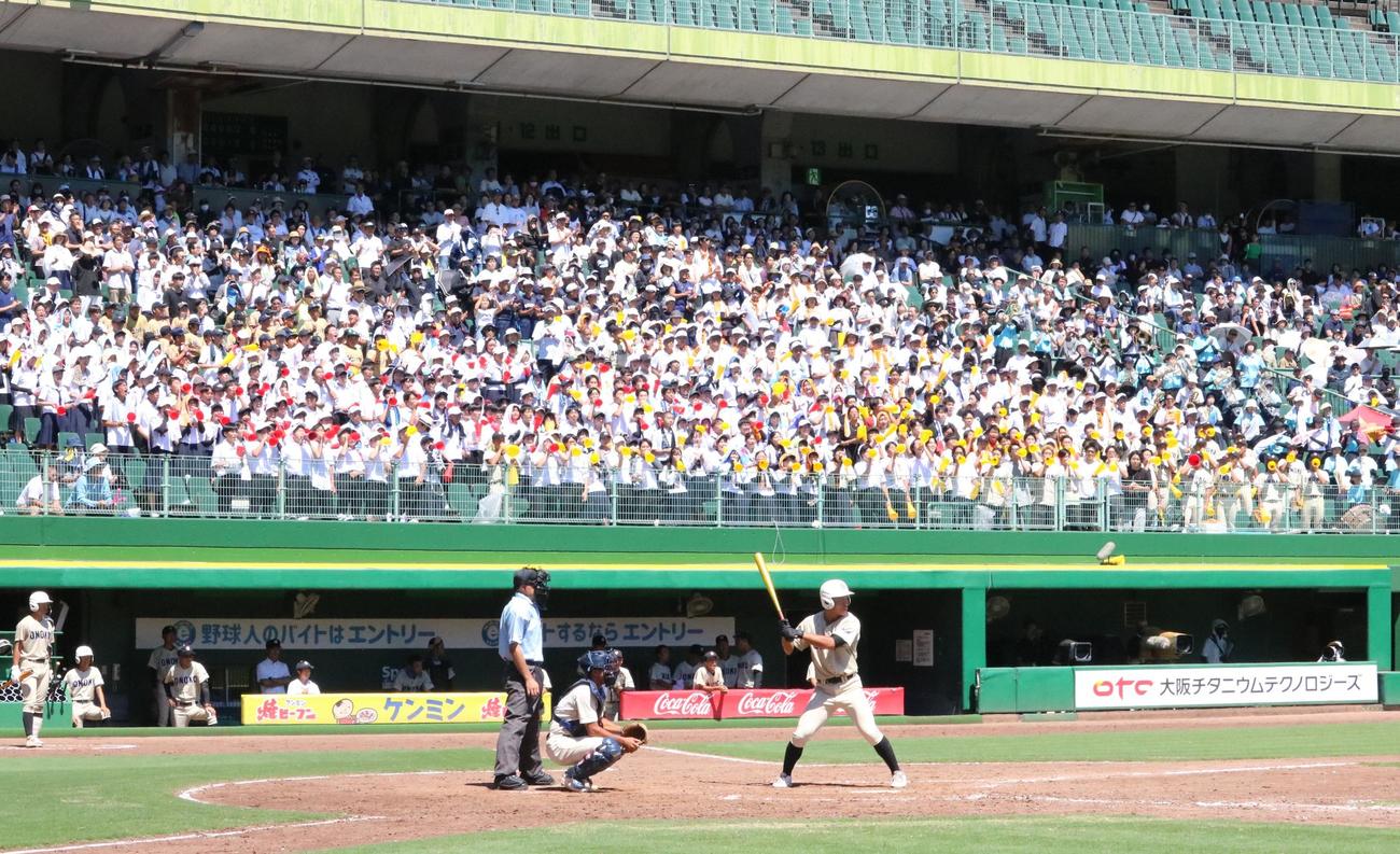 東洋大姫路対小野　小野スタンドから大声援がおくられる（撮影・林亮佑）