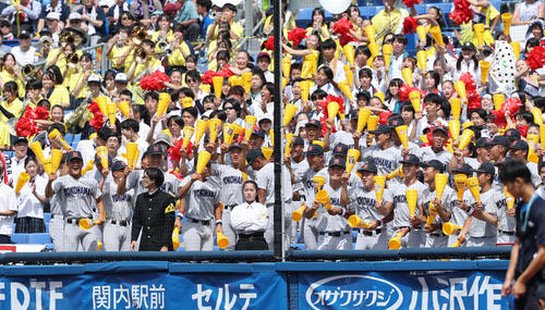 横浜対東海大相模　応援席で盛り上がる横浜の控え部員（撮影・野上伸悟）