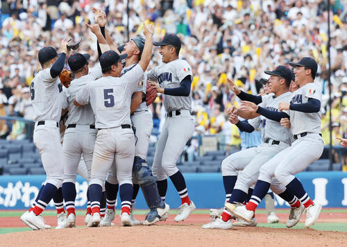 横浜対東海大相模　優勝し喜ぶ横浜の選手たち（撮影・野上伸悟）