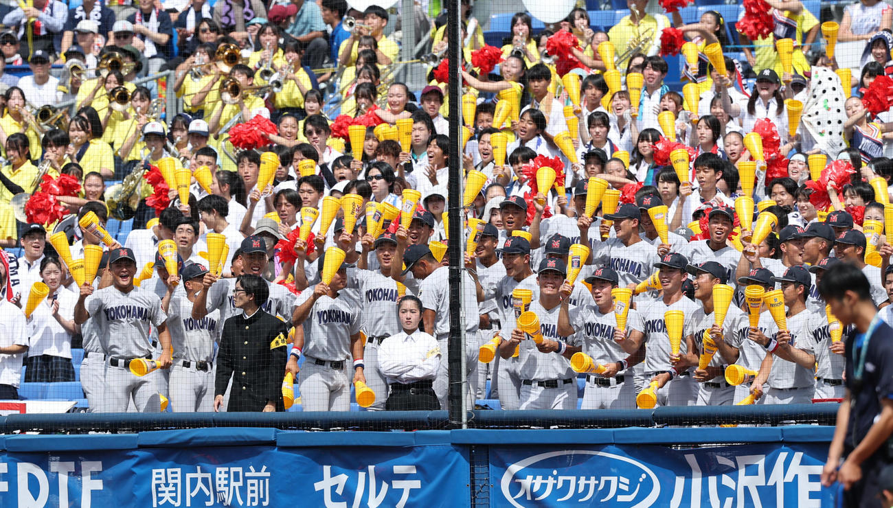 横浜対東海大相模　応援席で盛り上がる横浜の控え部員（撮影・野上伸悟）