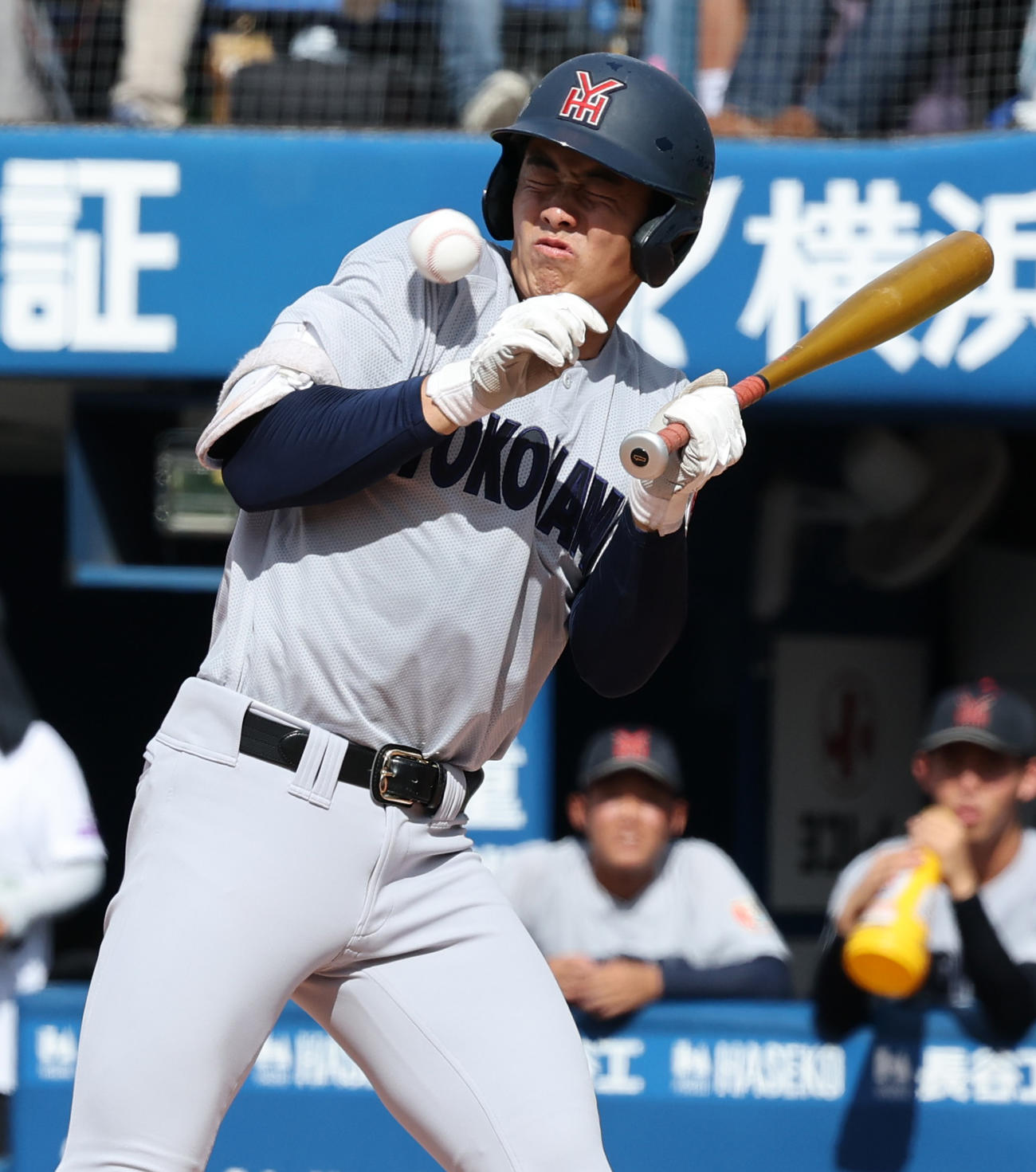 横浜対東海大相模　5回表横浜2死一塁、死球を受ける奥村頼（撮影・野上伸悟）