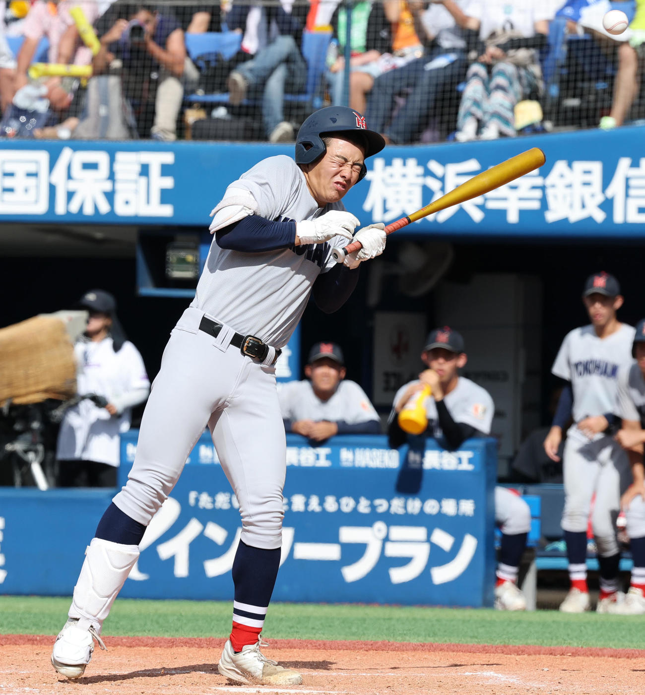 横浜対東海大相模　5回表横浜2死一塁、死球を受ける奥村頼（撮影・野上伸悟）