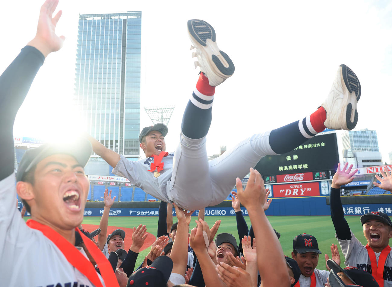 横浜対東海大相模　優勝し胴上げされる横浜・阿部葉主将督（撮影・野上伸悟）