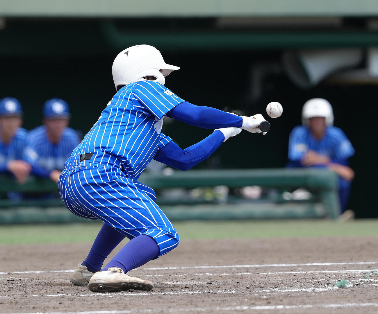 青藍泰斗対作新学院　タイブレークの10回表青藍泰斗無死一、二塁、代打清水は送りバントを決める（撮影・足立雅史）