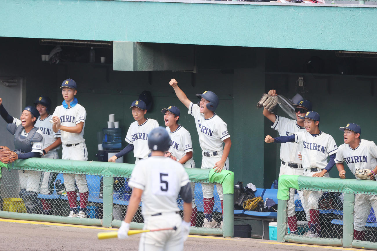智弁和歌山対星林　6回裏星林2死一塁、一走浜口が盗塁を決め盛り上がる星林ナイン（撮影・上山淳一）