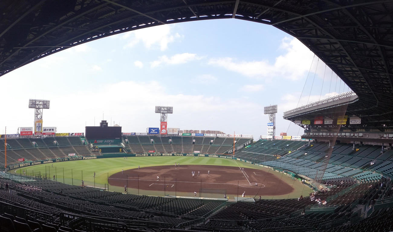 甲子園球場で練習する選手ら（撮影・上山淳一）