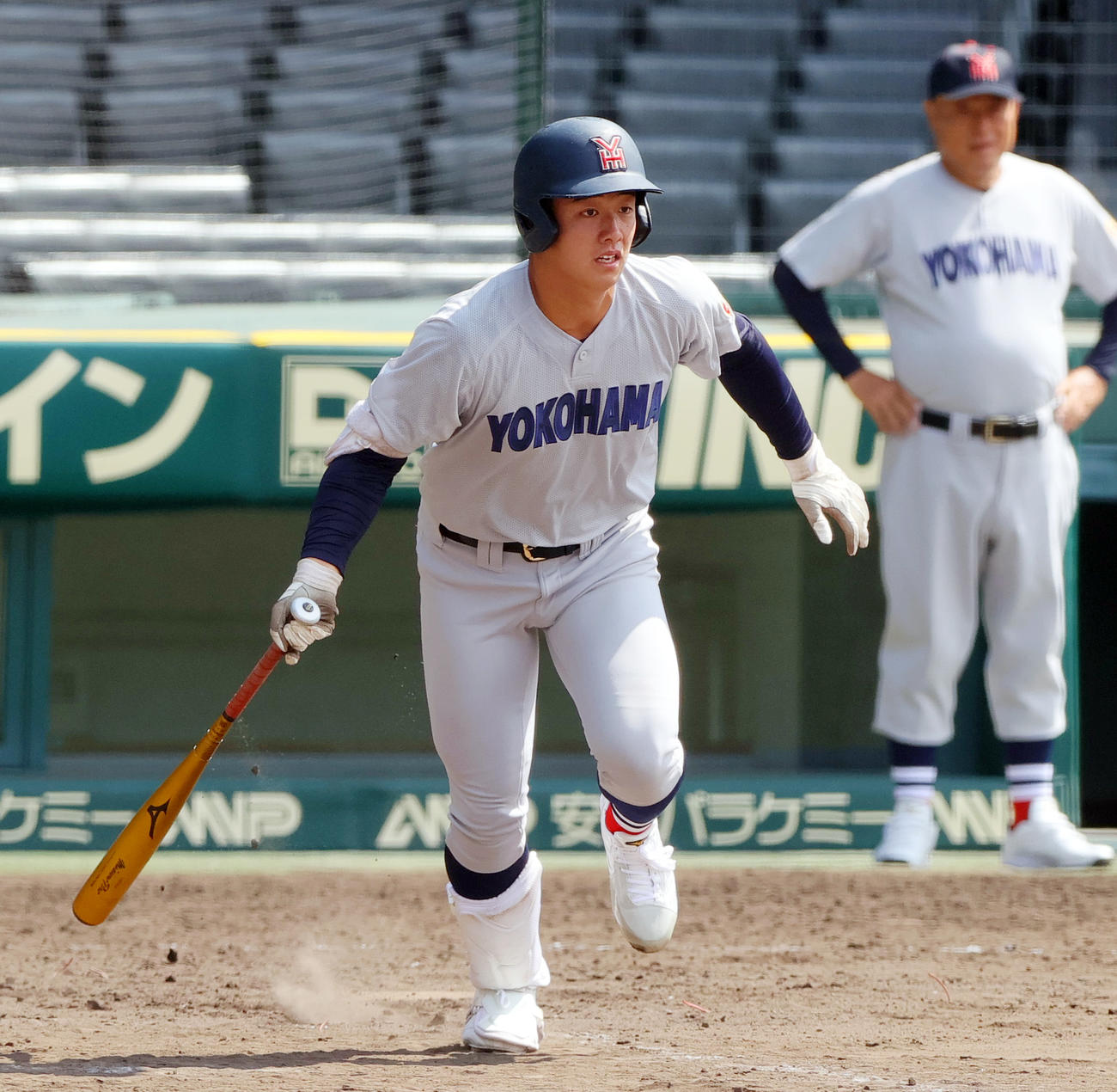 甲子園球場で打撃練習する横浜のエース奥村頼（撮影・上山淳一）