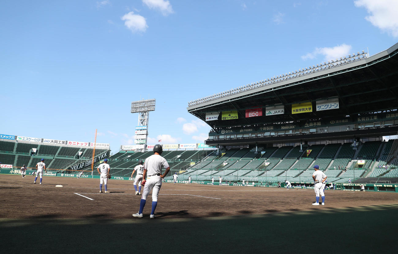 甲子園練習する明秀日立ナイン（撮影・白石智彦）