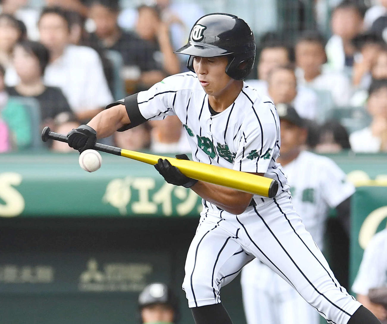 叡明対津田学園　3回裏津田学園1死一、三塁、正木は三塁前へスクイズを成功させる（撮影・岩下翔太）