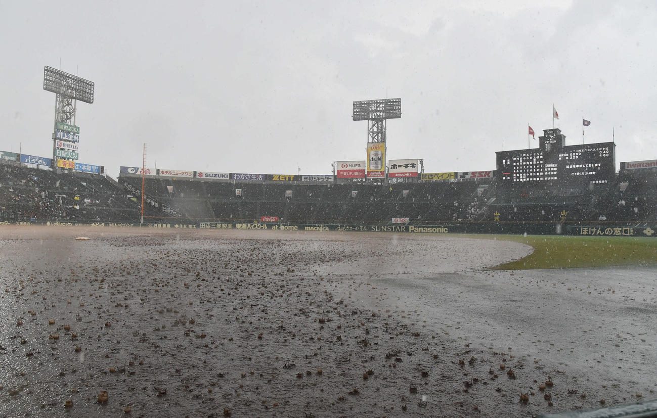 敦賀気比対横浜　4回裏横浜無死一塁、雨が強まり試合が一時中断される（撮影・岩下翔太）