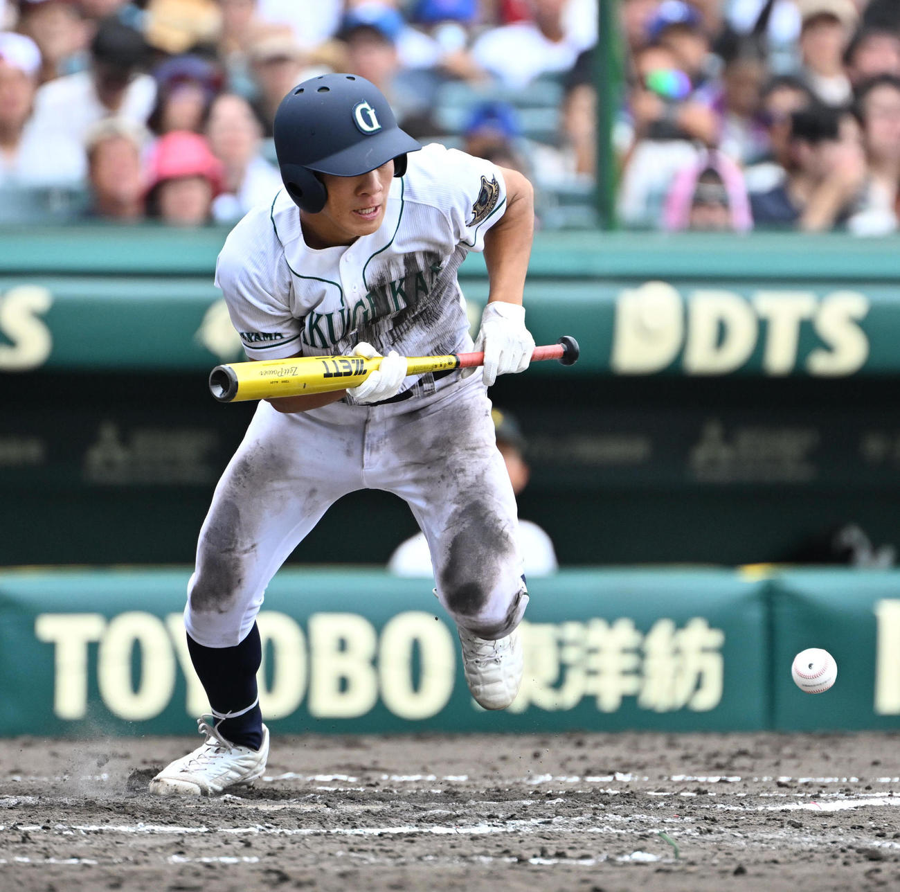 松商学園対岡山学芸館　8回裏岡山学芸館1死一、三塁　山田涼はスクイズを決める（撮影・石井愛子）