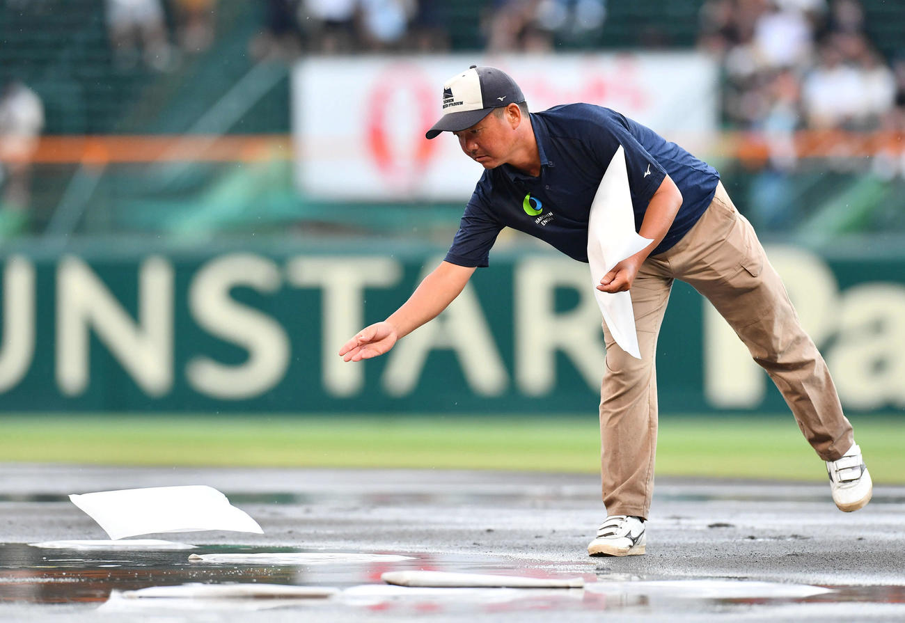 敦賀気比対横浜　4回裏、雨が弱まり阪神園芸の職員によるグラウンド整備が始まる（撮影・岩下翔太）