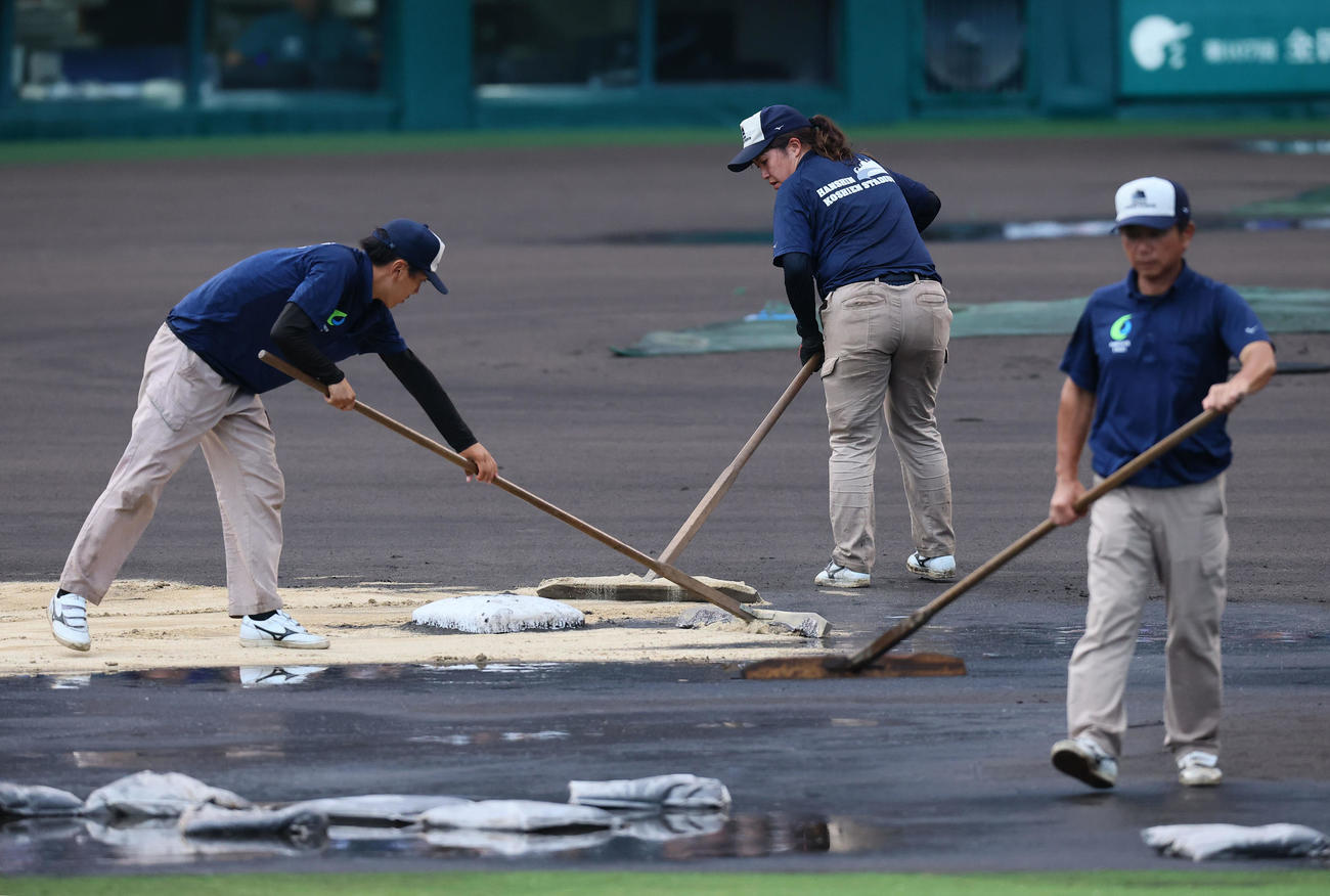 敦賀気比対横浜　整備する阪神園芸のスタッフ（撮影・藤尾明華）
