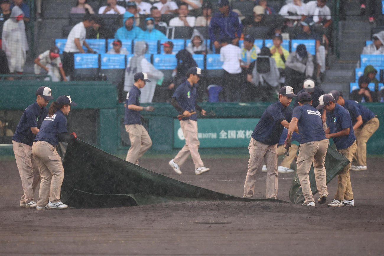敦賀気比対横浜　4回裏途中、試合が降雨中断しシートを敷く阪神園芸（撮影・藤尾明華）