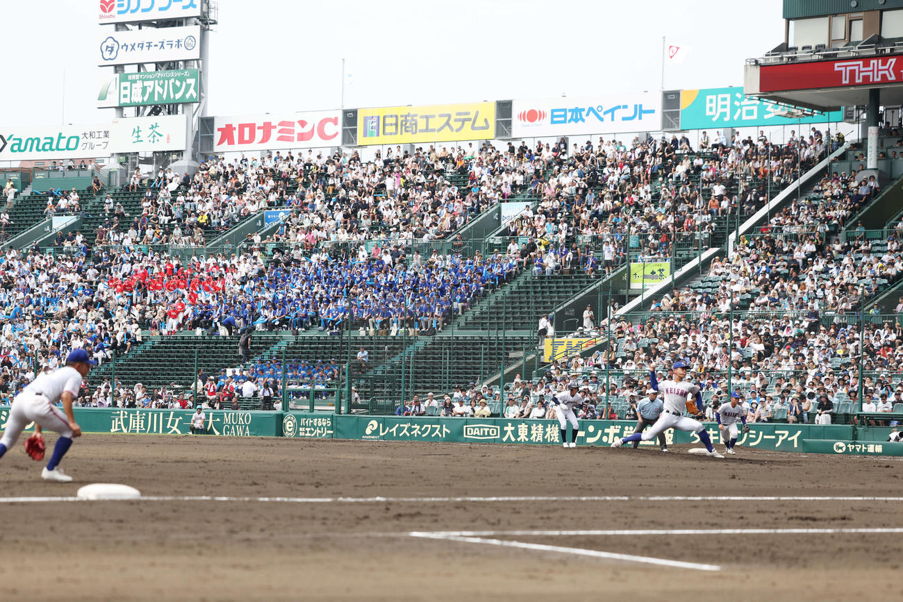 聖隷クリストファー対明秀学園日立　声援を送る明秀学園日立アルプススタンド（撮影・増田悦実）