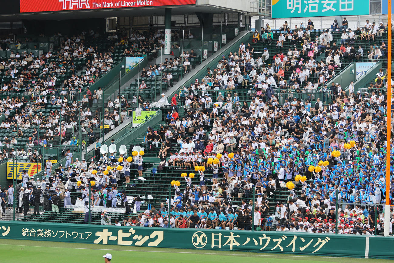東海大熊本星翔対北海　三塁側の東海大熊本星翔応援団（撮影・加藤哉）