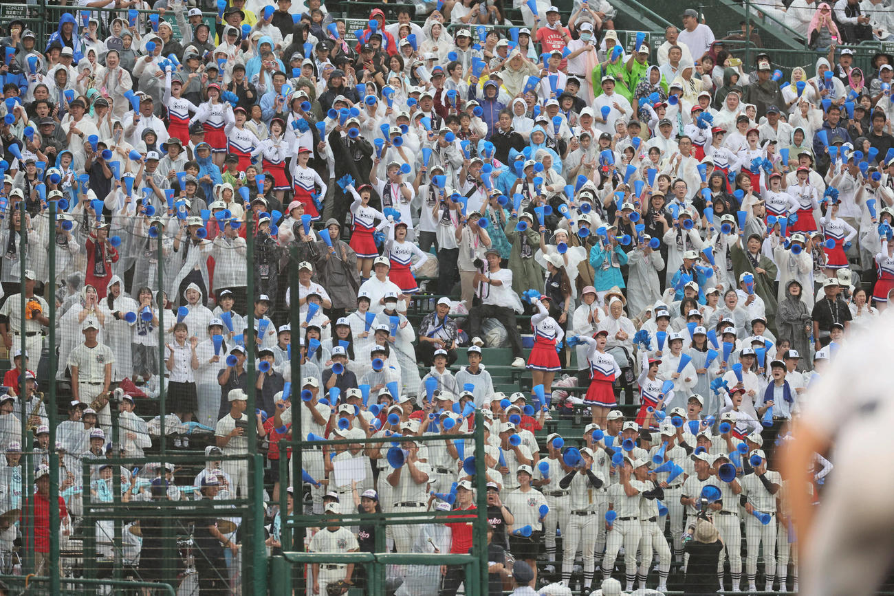 豊橋中央対日大三　応援する日大三（撮影・宮崎幸一)