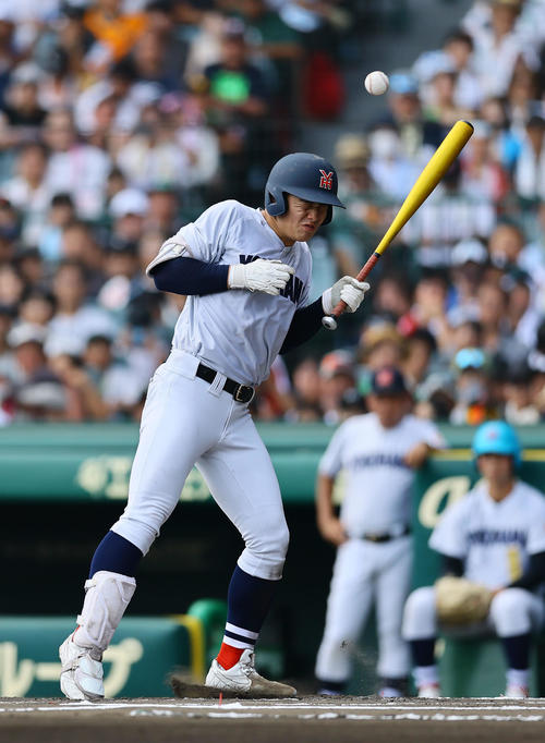 横浜対綾羽 6回表横浜無死一塁、死球を受ける奥村頼(撮影・藤尾明華)