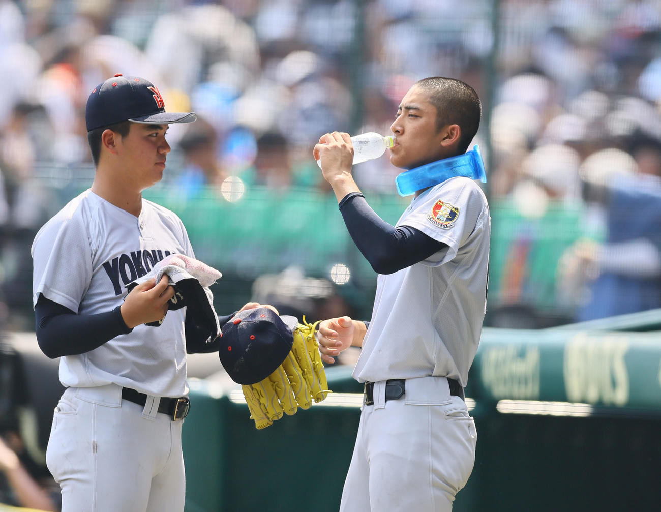 横浜対綾羽　5回、マウンドへ向かう前に首元を冷やしながら水分補給する横浜・織田（撮影・藤尾明華）