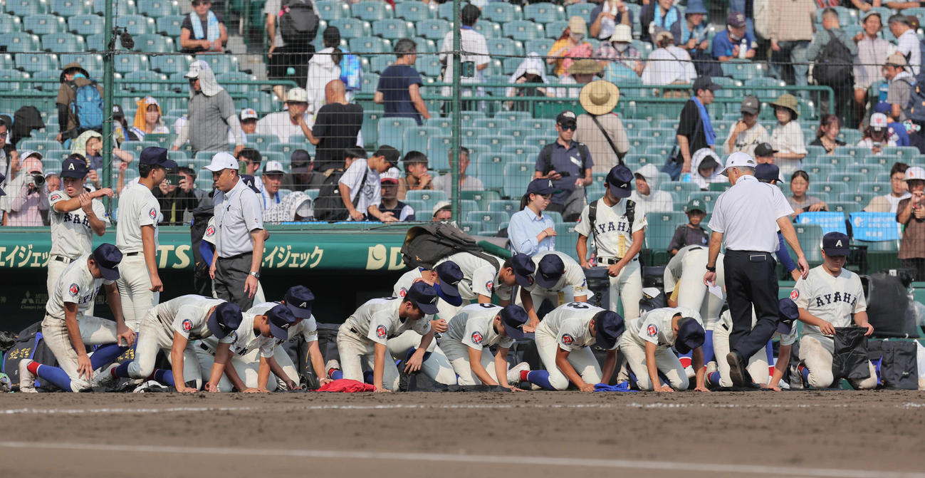 横浜対綾羽　敗れて土を集める綾羽ナイン（撮影・宮崎幸一）