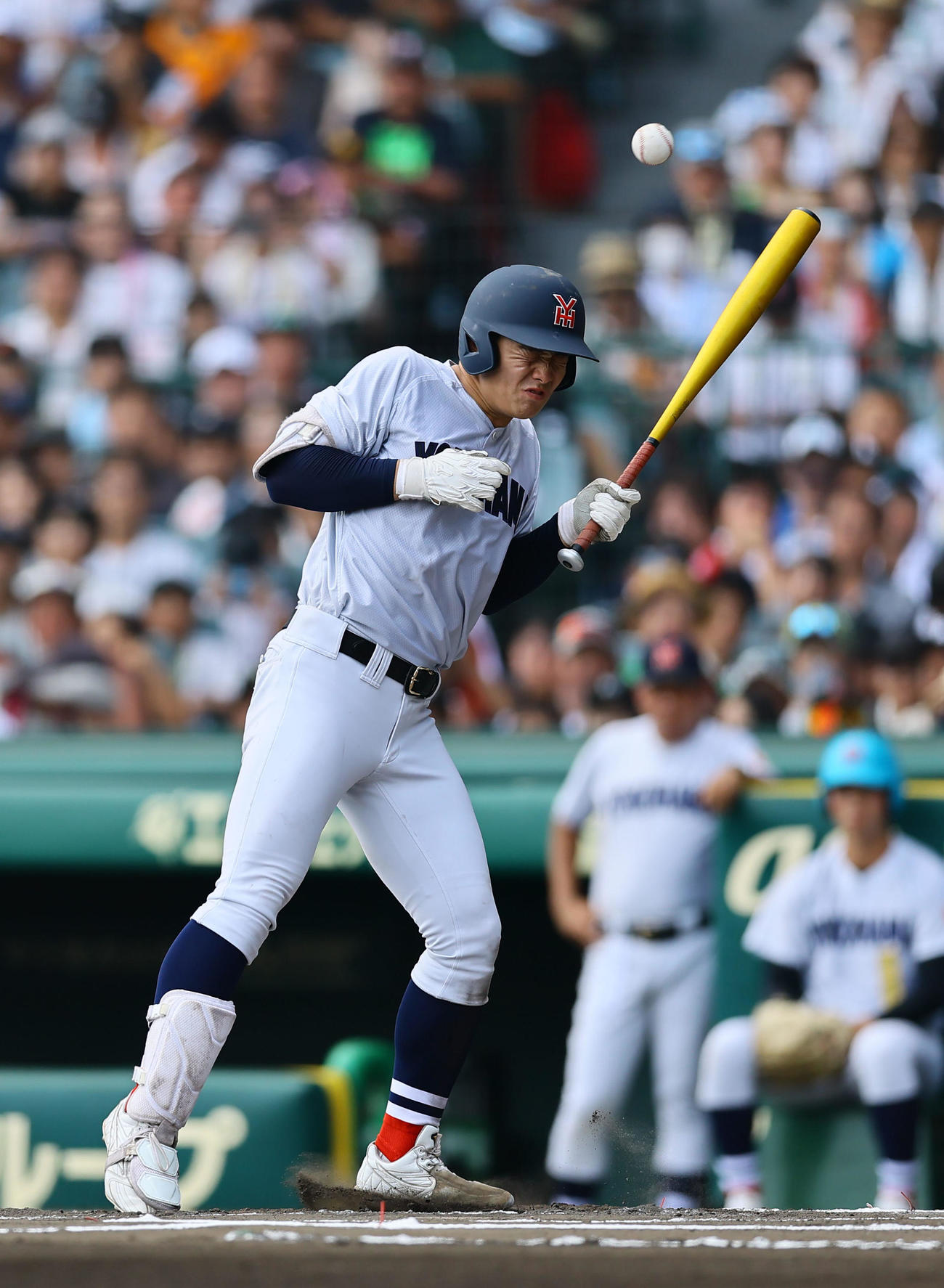 横浜対綾羽　6回表横浜無死一塁、死球を受ける奥村頼（撮影・藤尾明華）