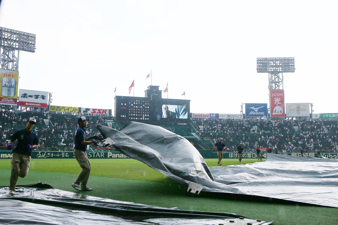 佐賀北対明豊　5回裏を終え、雨が強くなりグラウンドシートをかぶせる阪神園芸の職員たち（撮影・上山淳一）