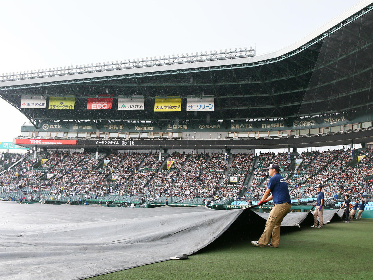 佐賀北対明豊　5回裏を終え、雨が強くなりグラウンドシートをかぶせる阪神園芸の職員たち（撮影・上山淳一）
