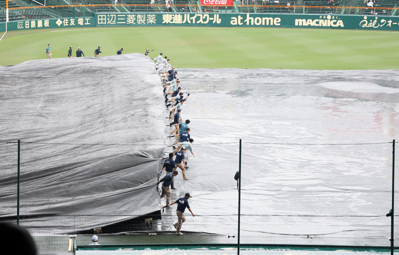 明豊対佐賀北　グラウンドにかけられていたシートを外す阪神園芸の職員たち（撮影・加藤哉）