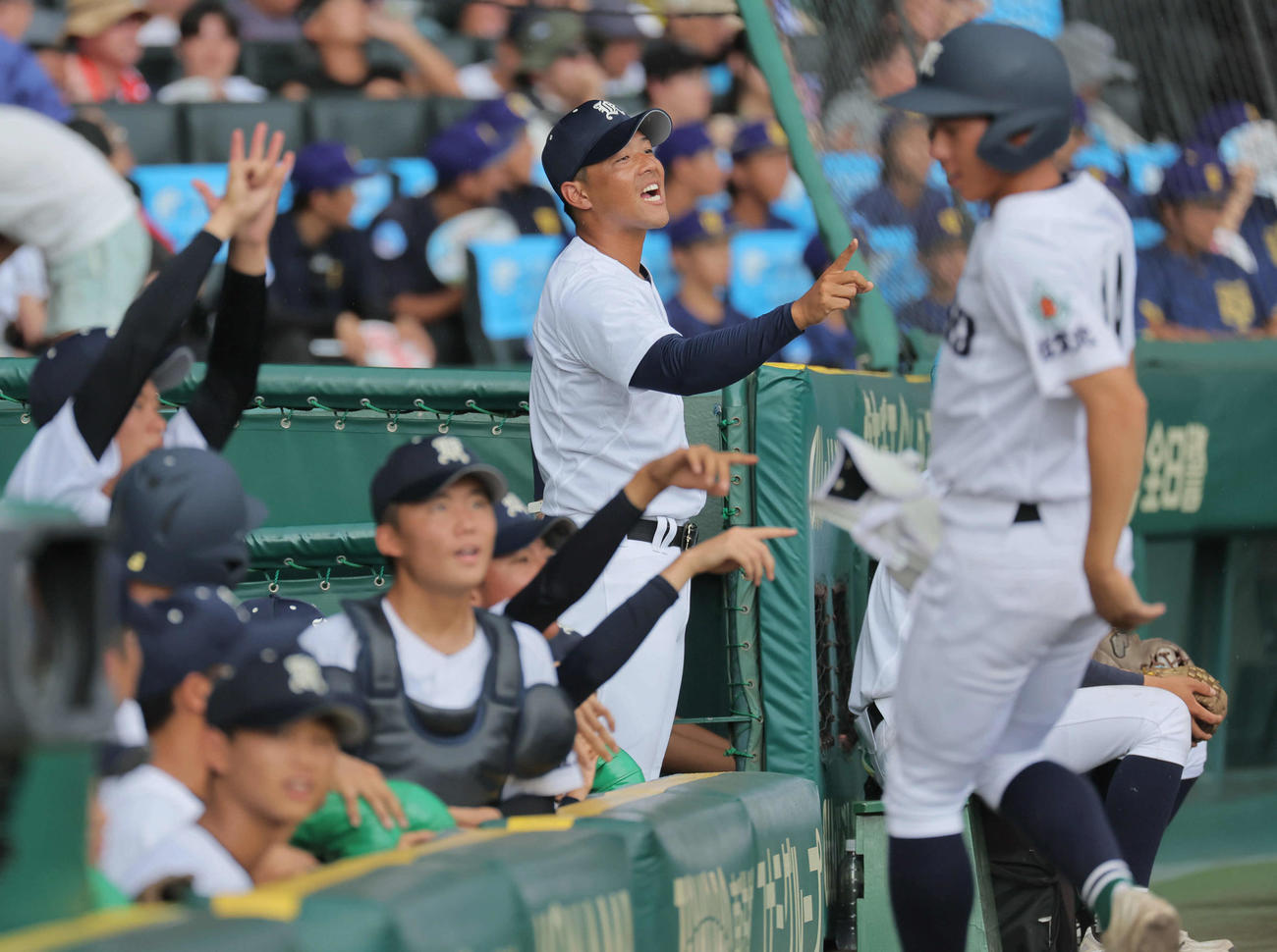 明豊対佐賀北　5回、ベンチで声を出す佐賀北・本村監督（撮影・宮崎幸一）