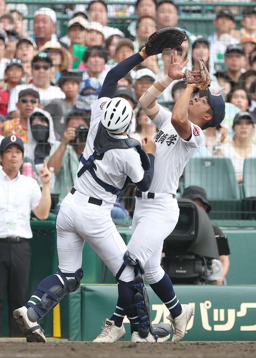 沖縄尚学対日大三　5回裏日大三無死、松岡の捕邪飛を追ってぶつかる宜野座（左）と安谷屋（撮影・上田博志）