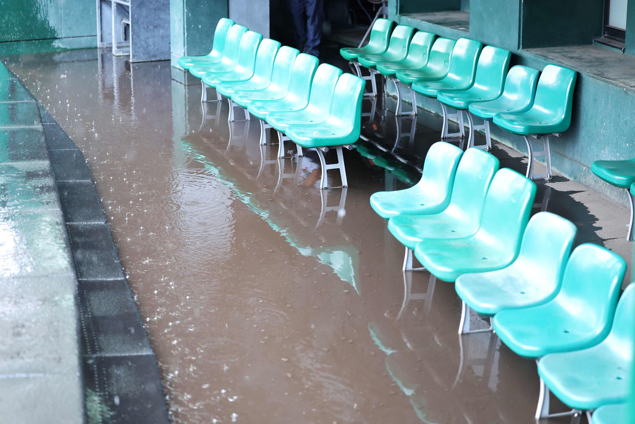 高校日本代表対沖縄県高校選抜　大雨が降り3塁側ベンチが水没した（撮影・鈴木正人）