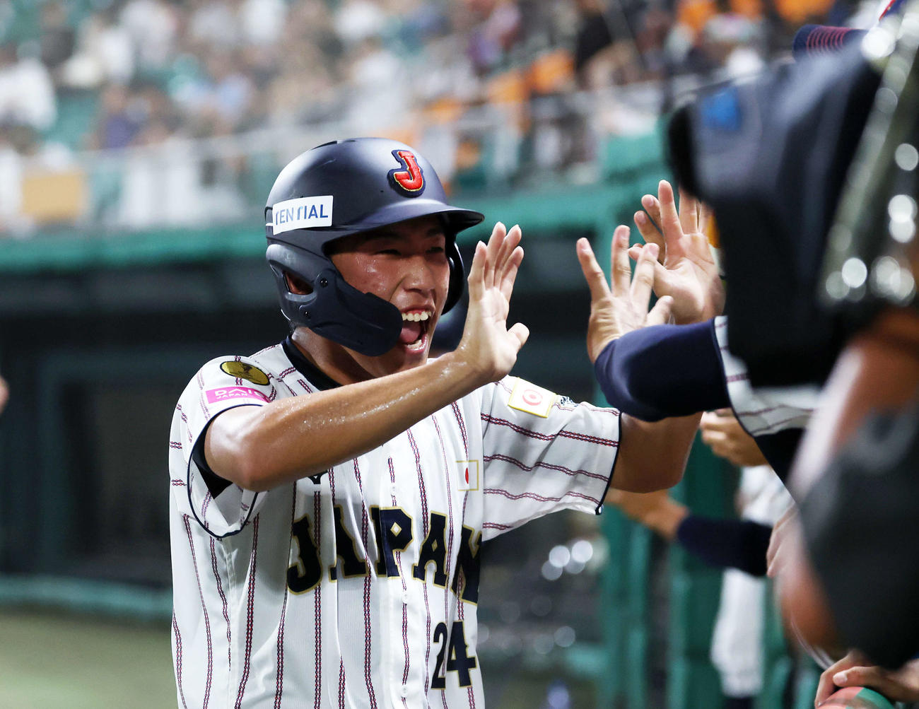 イタリア対日本　6回裏日本2死満塁、相手の2失策で坂本が生還しベンチ前で喜ぶ（撮影・鈴木正人）