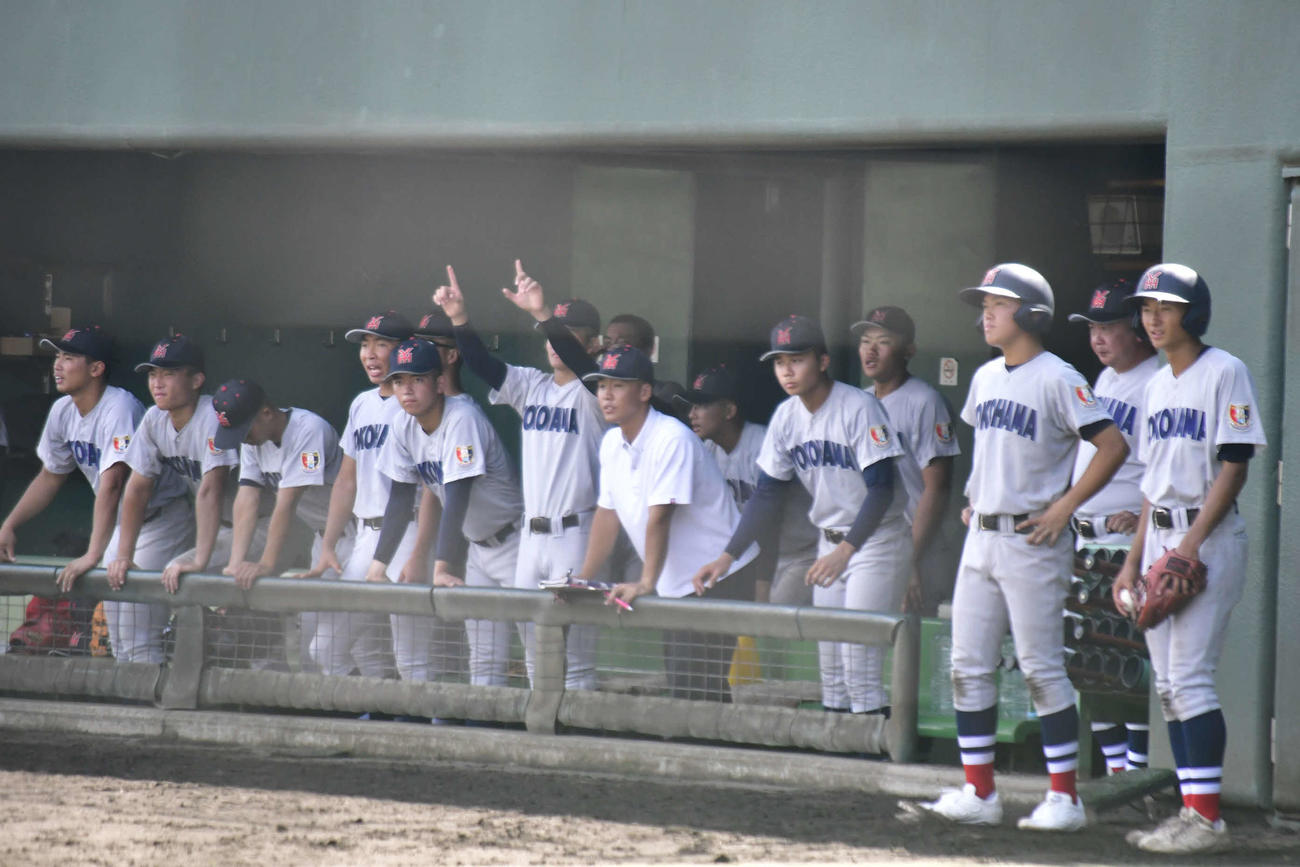 横浜－浅野　試合を見守る横浜ベンチ（撮影・平山連）