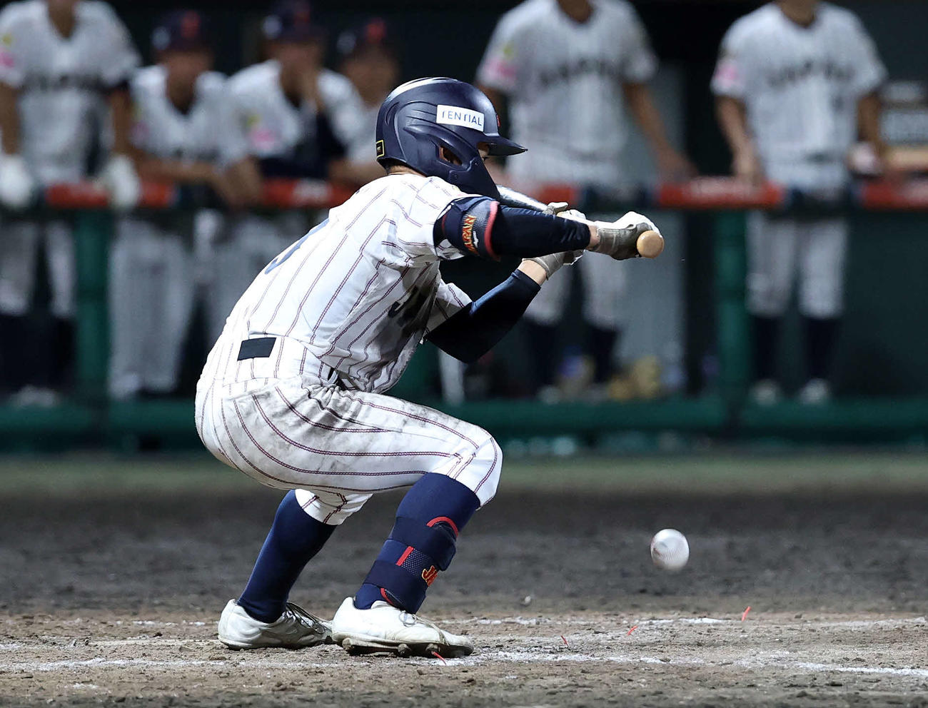 ナマ対日本　9回裏日本1死満塁、岡部はサヨナラスクイズを決める（撮影・鈴木正人）