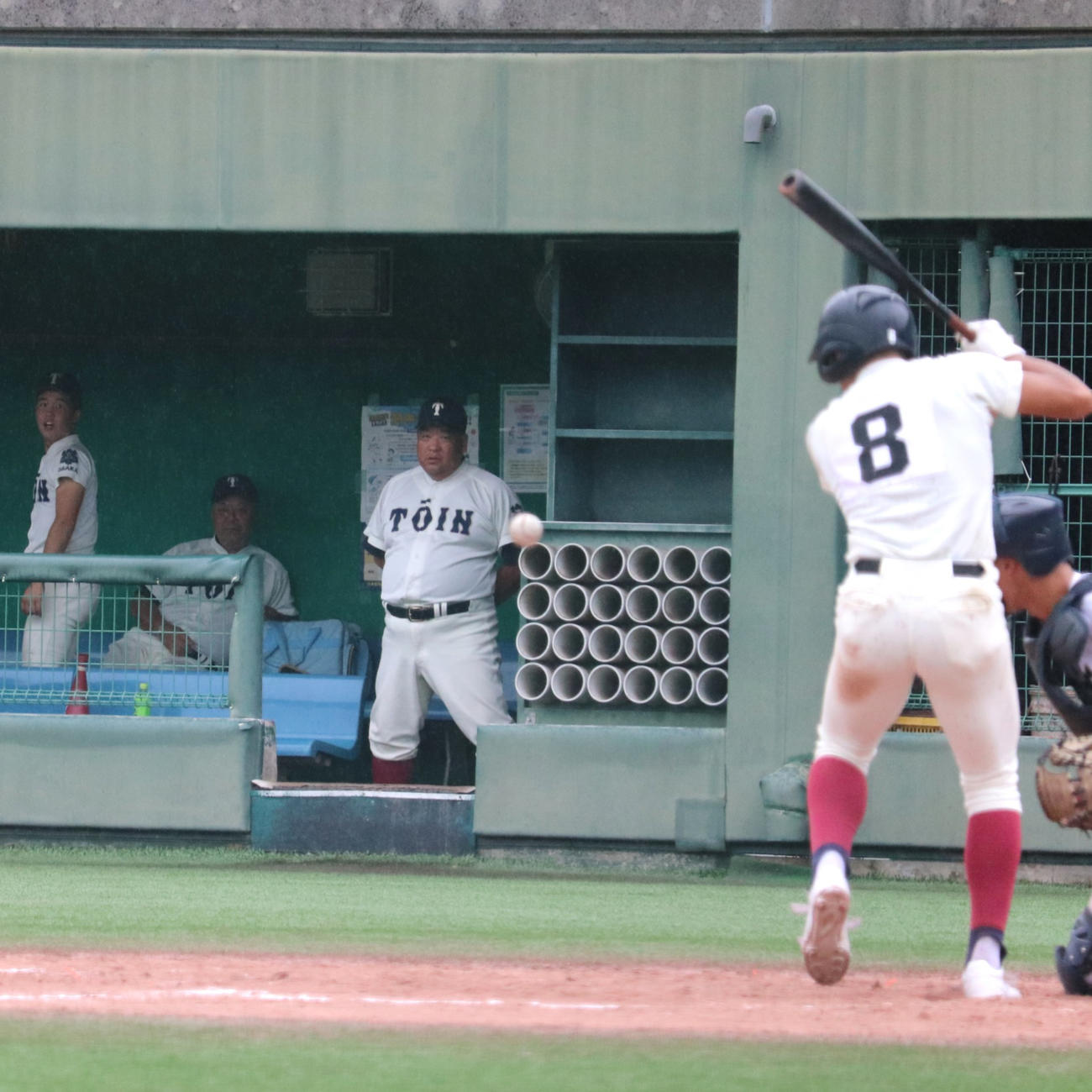 大阪大会準決勝　金光大阪対大阪桐蔭　　ベンチで戦況を見つめる、大阪桐蔭・西谷監督（撮影・中島麗）