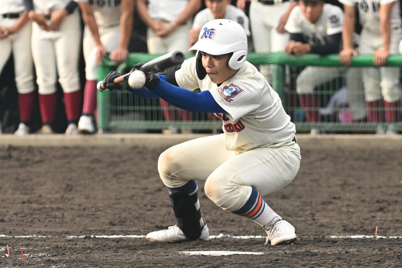 大阪桐蔭対神戸国際大付　8回裏神戸国際大付1死満塁、井本はスクイズを決める（撮影・滝沢美穂子）