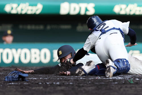 八戸学院光星対崇徳　5回裏崇徳1死一、三塁、田井のスクイズで本塁生還を狙うもアウトになる三走国川。捕手鈴木（撮影・前田充）