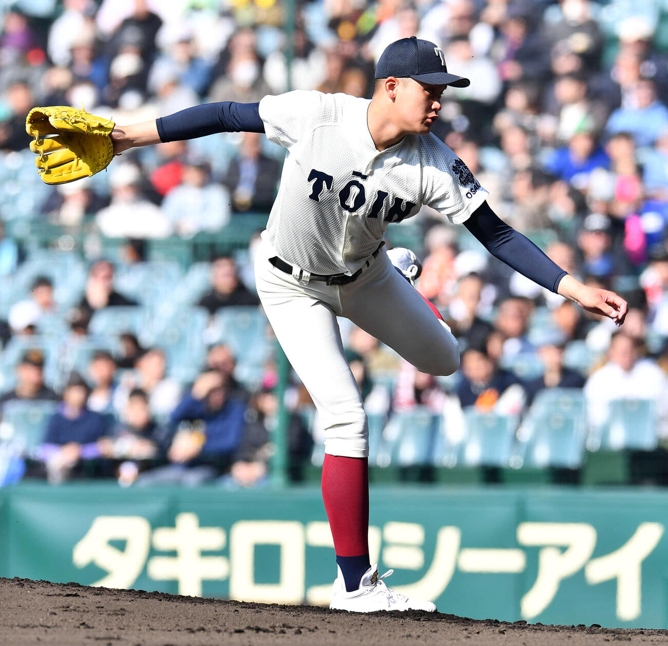 大阪桐蔭対熊本工　大阪桐蔭先発の川本（撮影・岩下翔太）
