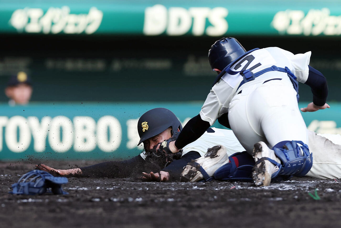 八戸学院光星対崇徳　5回裏崇徳1死一、三塁、田井のスクイズで本塁生還を狙うもアウトになる三走国川。捕手鈴木（撮影・前田充）
