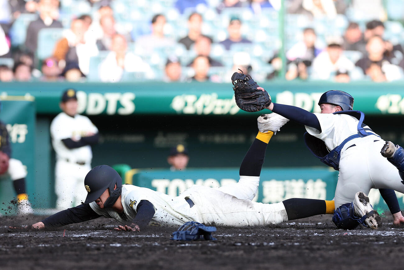 八戸学院光星対崇徳　5回裏崇徳1死一、三塁、田井のスクイズで本塁生還を狙うもアウトになる三走国川。捕手鈴木（撮影・前田充）