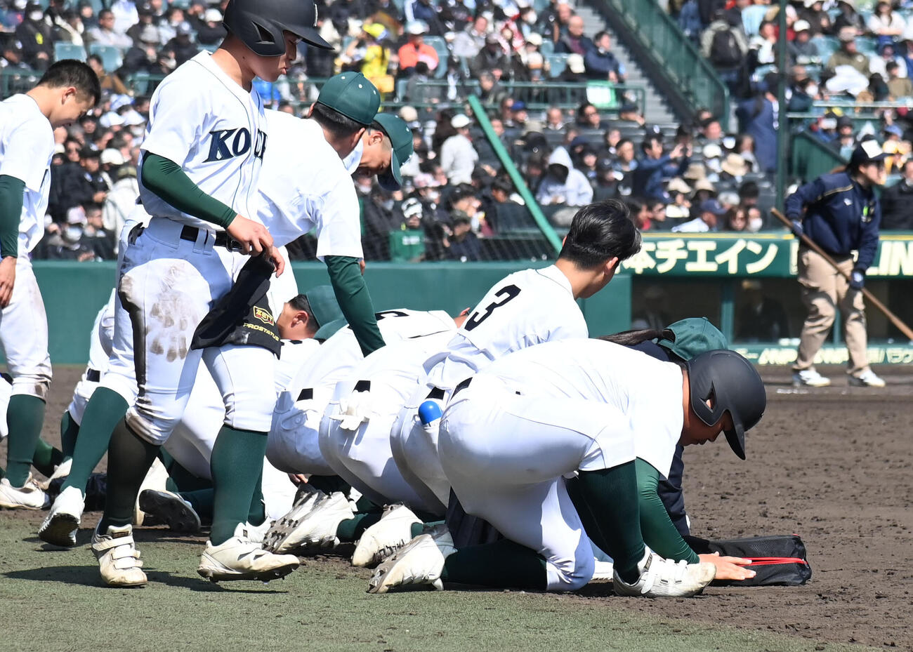 日本文理対高知農　日本文理に負け甲子園の土を集める高知農ナイン（撮影・石井愛子）
