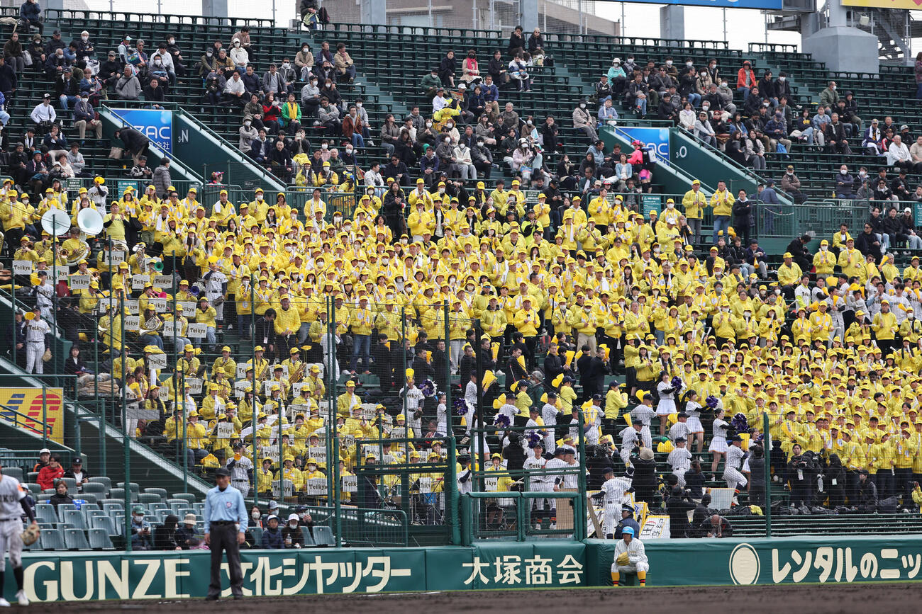 東北対帝京長岡　黄色に染まった帝京長岡アルプス（撮影・西尾就之）